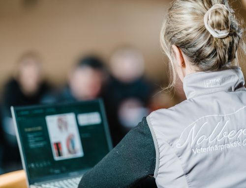 Föreläsning om hästens träning med Nolberga Veterinärpraktik på Wiredaholm