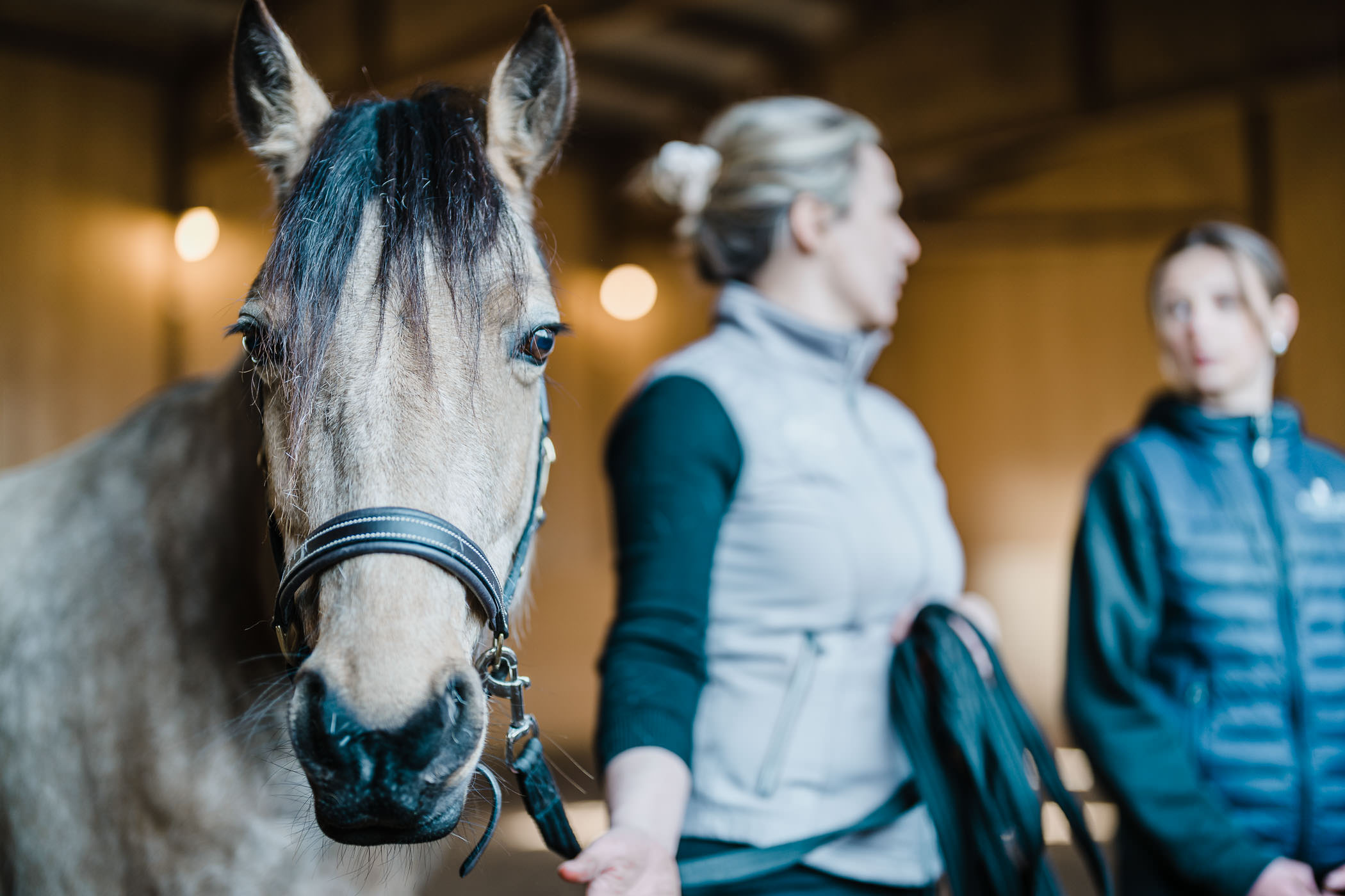 hast-balans-utbildningsdagar-folkets-hus-ridhuset-sater-nolberga-veterinarpraktik-annelie-hellstrom-veteriniar
