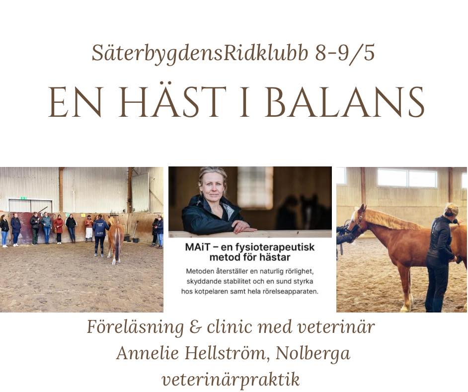 veterinar-prehab-hast-saterbygdens-ridklubb-forelasning-clinic-utbildning