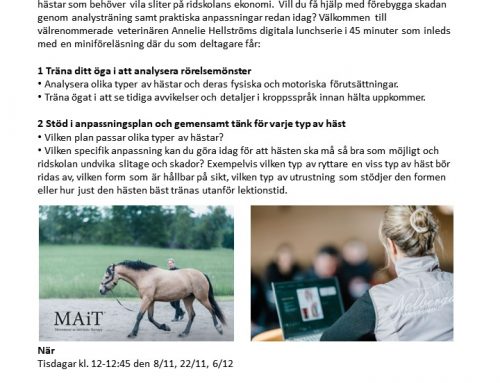 Nu börjar det!