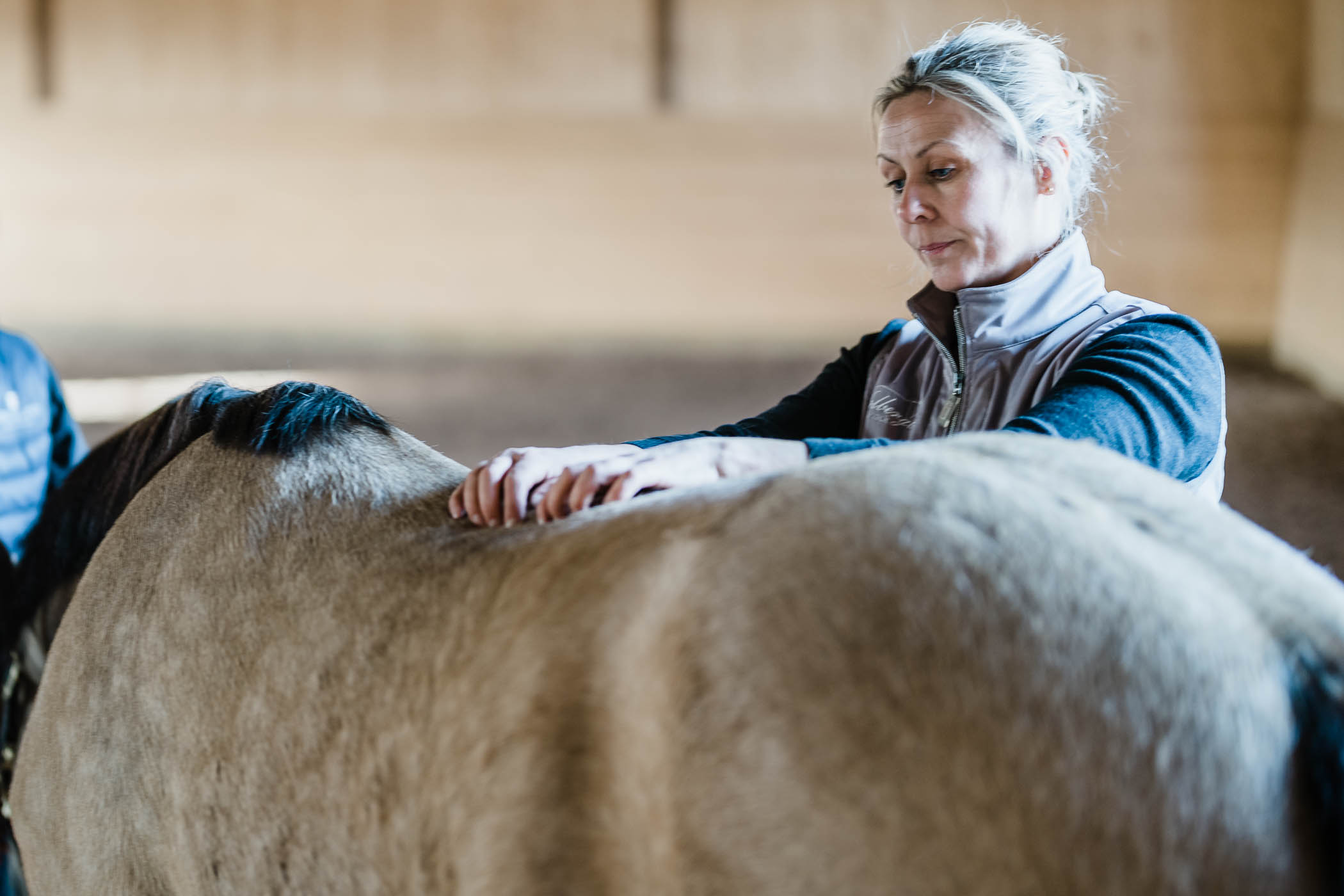 barighetsbedomning-hast-veterinar-annelie-hellstrom-nolberga-veterinarklinik-fotograf-jesper-anhede
