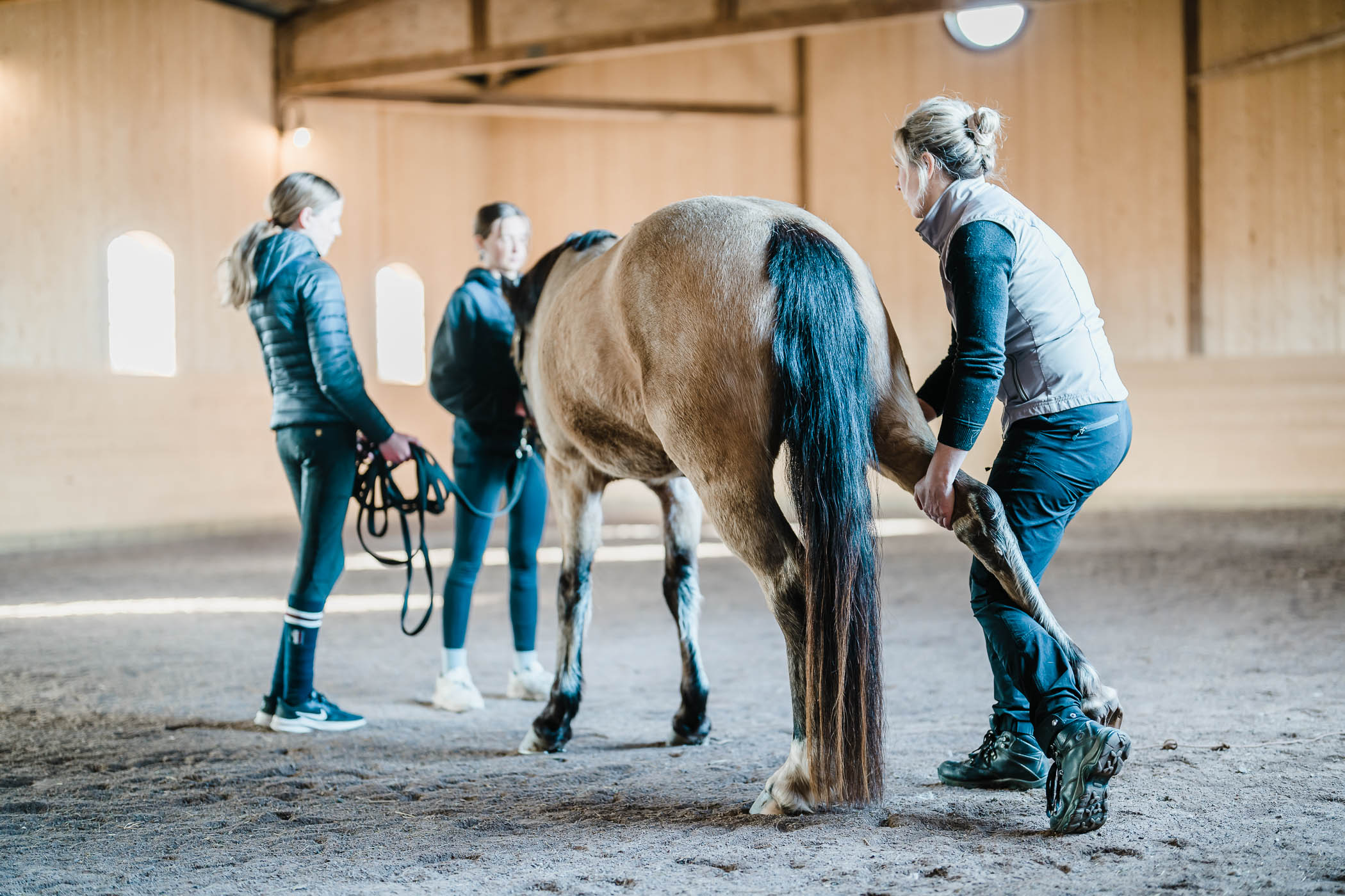 muskeloptimering-trana-styrka-rorlighet-stabilitet-flexibilitet-hast-veterinar-annelie-hellstrom-horse-vet-220327-164155-09759-photographer-jesper-anhede-web