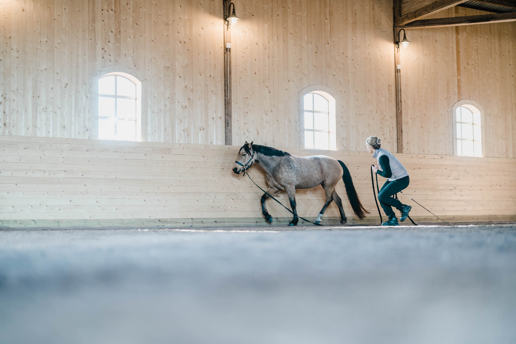 stegutveckling-ben-rorelse-hast-veterinar-annelie-hellstrom-horse-vet-220327-163503-09664-photographer-jesper-anhede-web